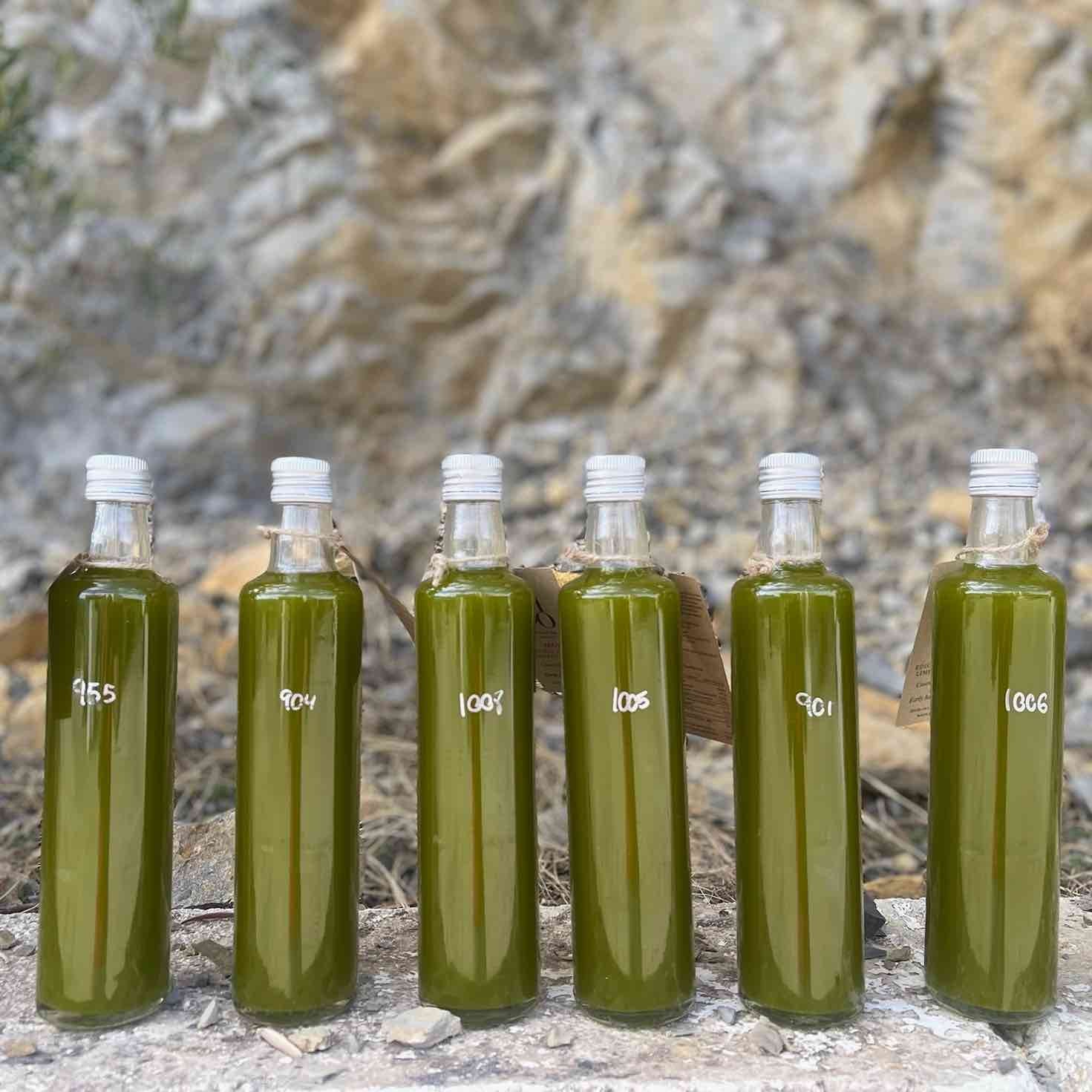 Cosecha Temprana 25/26, Sin filtrar. PRE RESERVA.